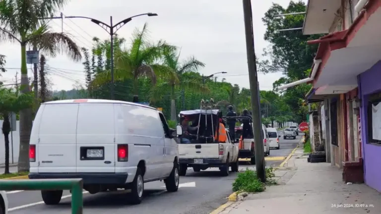 colectivos-de-busqueda-1068x601.webp