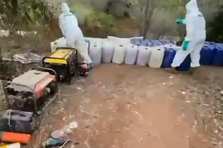 1357785xeu20250120172227 (1)