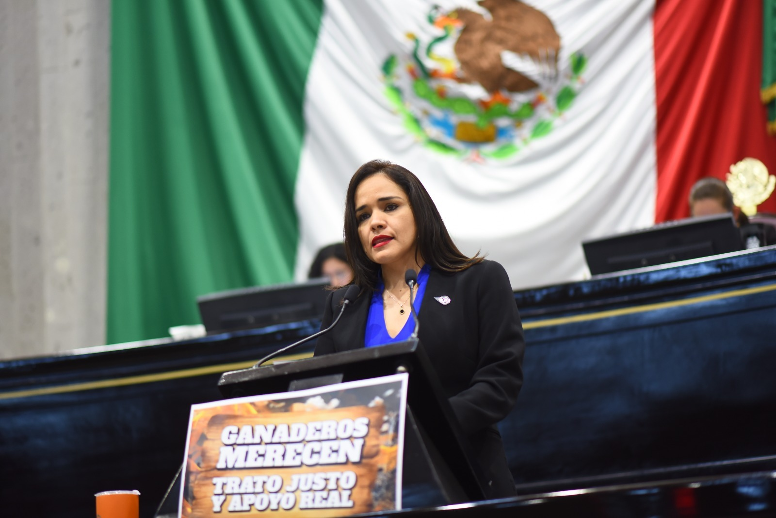 Convoca diputada a dar atención a las demandas de la ganadería