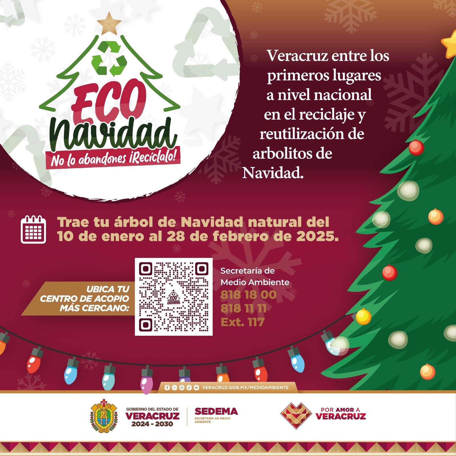No lo abandones, recicla tu arbolito; tienes hasta el 28 de febrero: SEDEMA