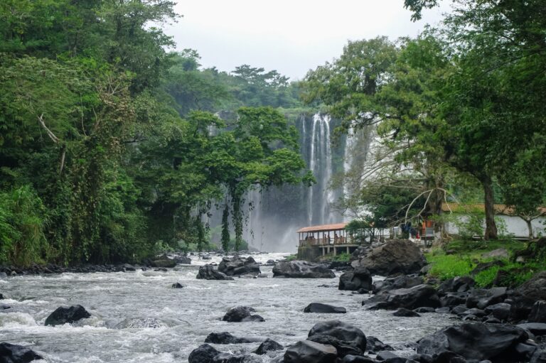 Un viaje inolvidable a Los Tuxtlas: biodiversidad, cultura y sabores auténticos