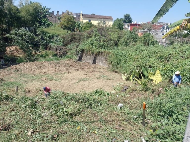 Invitan a mantener áreas verdes libres de desechos