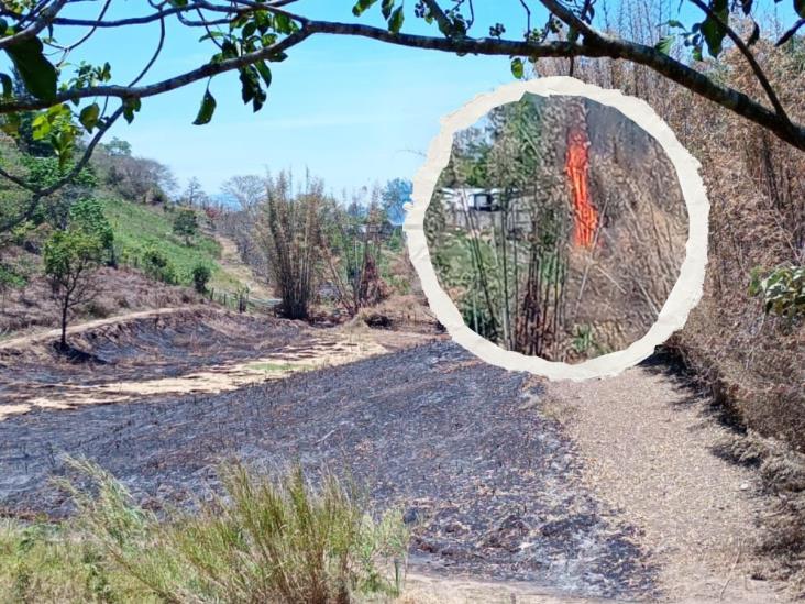incendio-el-castillo-xalapa-0402af26-focus-0-0-732-549