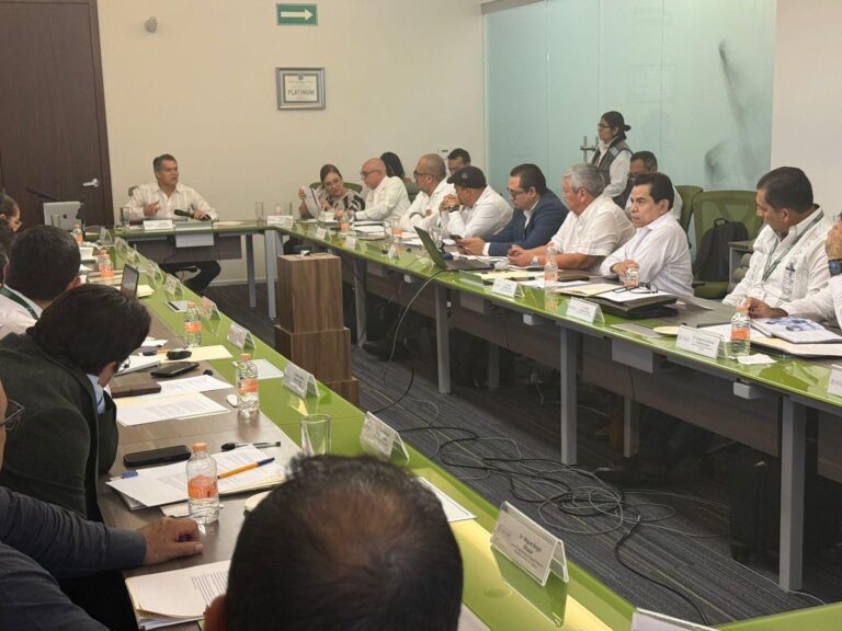 Veracruz presente en la estrategia nacional contra dengue y arbovirosis
